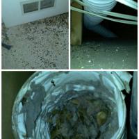 We found quite a mess caused by a dryer vent clog and the incorrect venting materials.